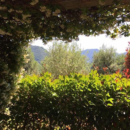Agriturismo Tenuta La Fratta Bagni di Lucca Esterno foto