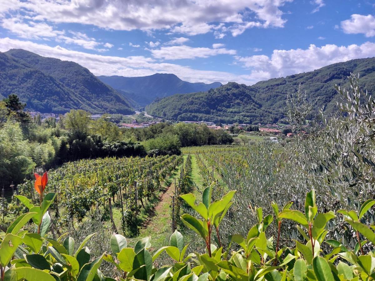 Agriturismo Tenuta La Fratta Bagni di Lucca Esterno foto