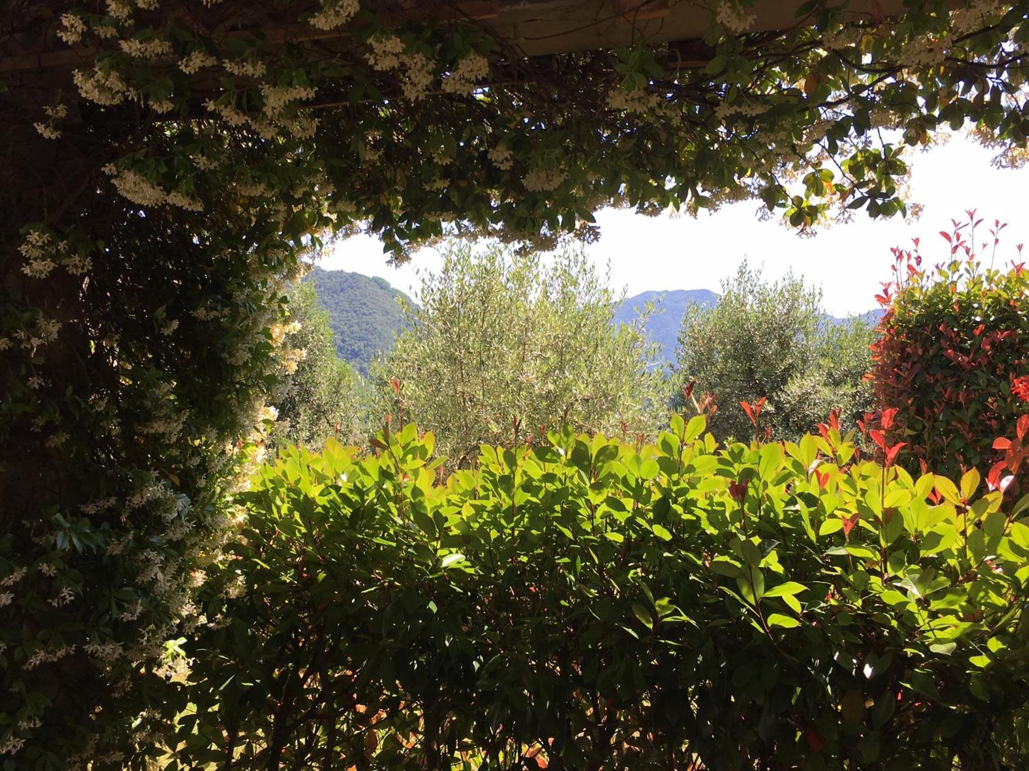 Agriturismo Tenuta La Fratta Bagni di Lucca Esterno foto
