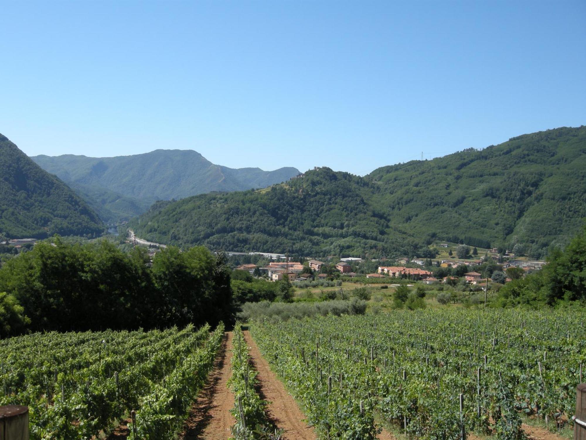 Agriturismo Tenuta La Fratta Bagni di Lucca Esterno foto