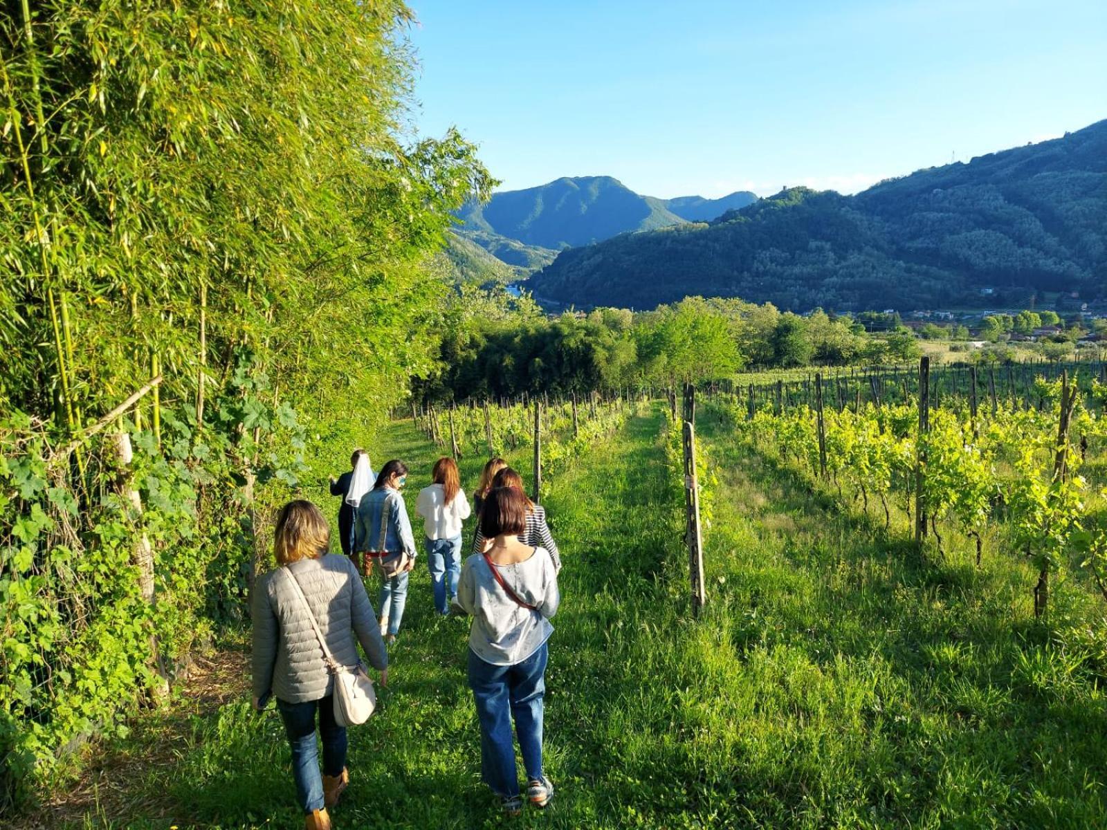 Agriturismo Tenuta La Fratta Bagni di Lucca Esterno foto