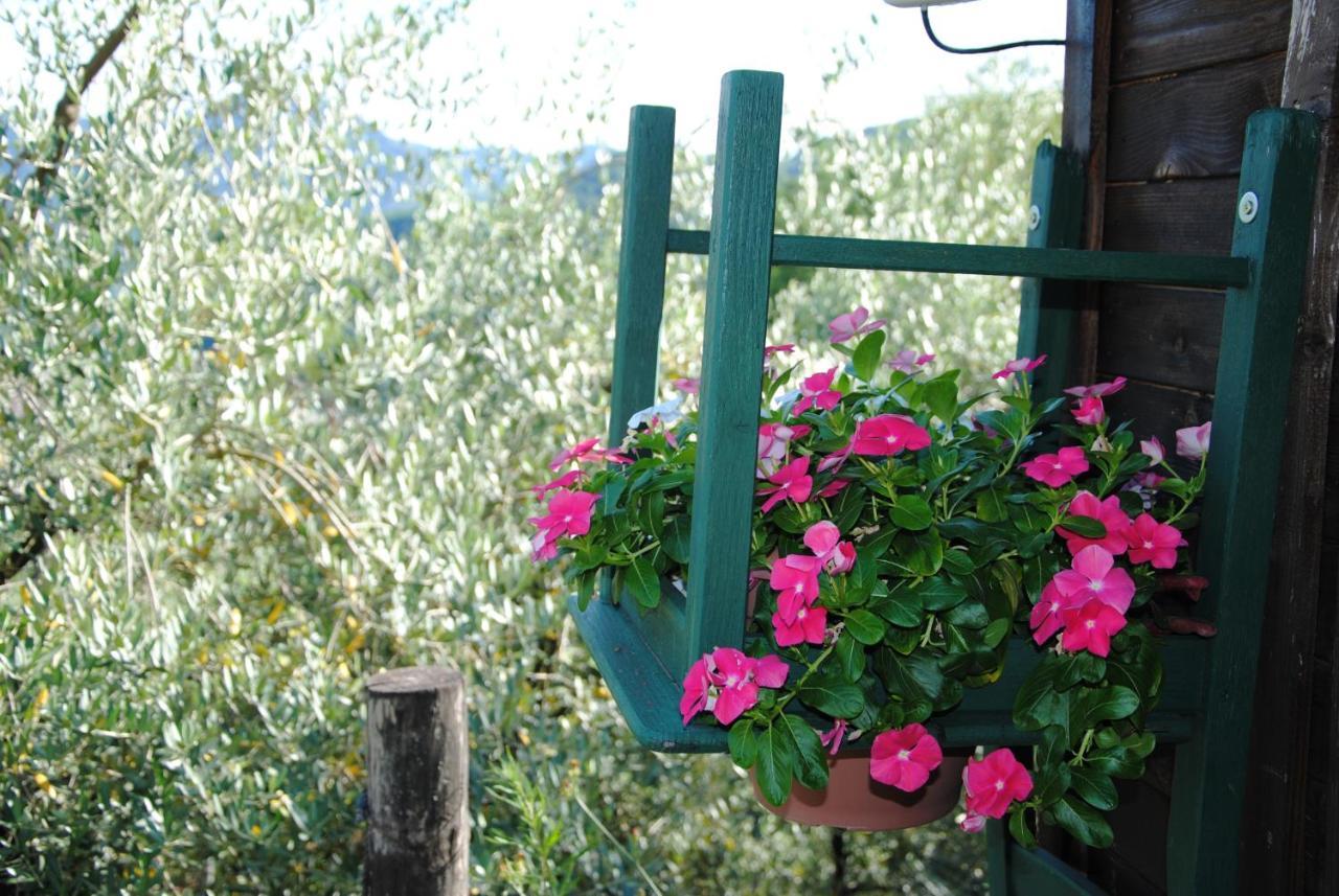 Agriturismo Tenuta La Fratta Bagni di Lucca Esterno foto