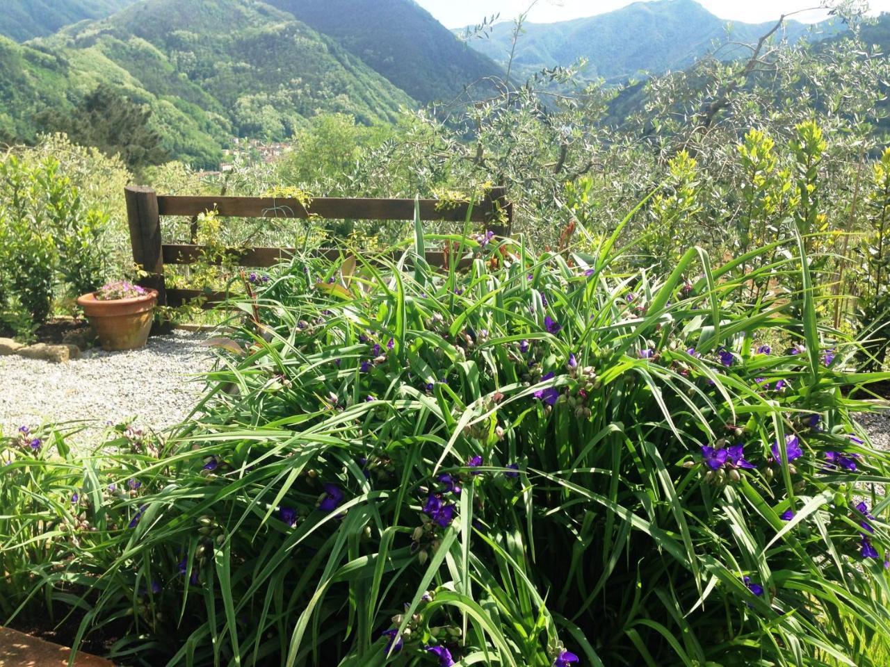 Agriturismo Tenuta La Fratta Bagni di Lucca Esterno foto