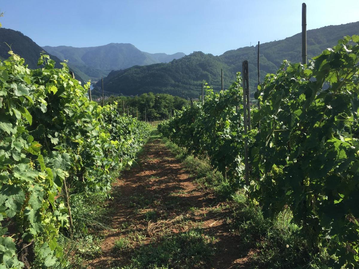 Agriturismo Tenuta La Fratta Bagni di Lucca Esterno foto